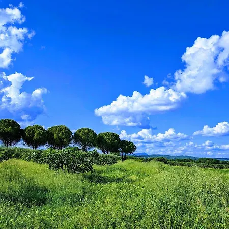 La Bottellie - & D'hotes Entre Cevennes Et Camargue 3*