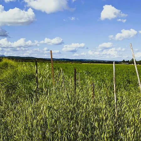 La Bottellie - Gîtes&chambres D'hôtes Entre Cévennes Et Camargue Maison d'hôtes 3*