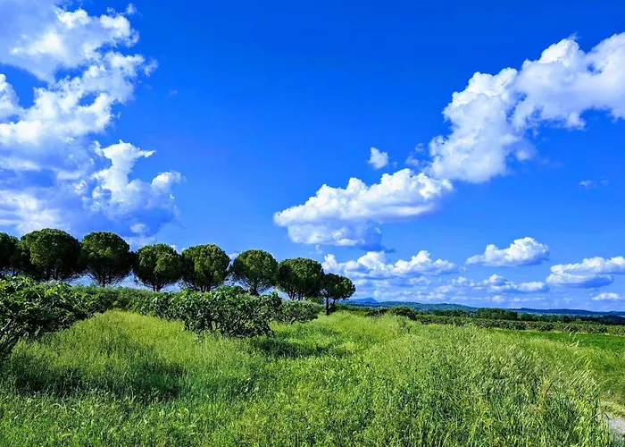 La Bottellie - & D'hotes Entre Cevennes Et Camargue 3*